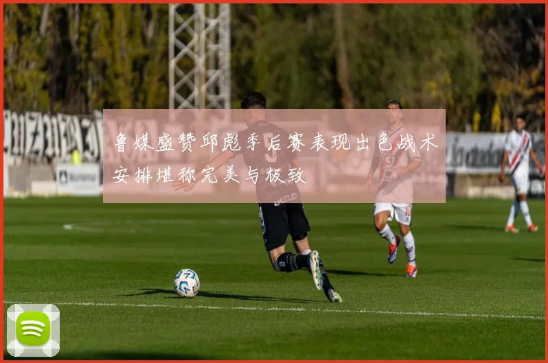 鲁媒盛赞邱彪季后赛表现出色战术安排堪称完美与极致